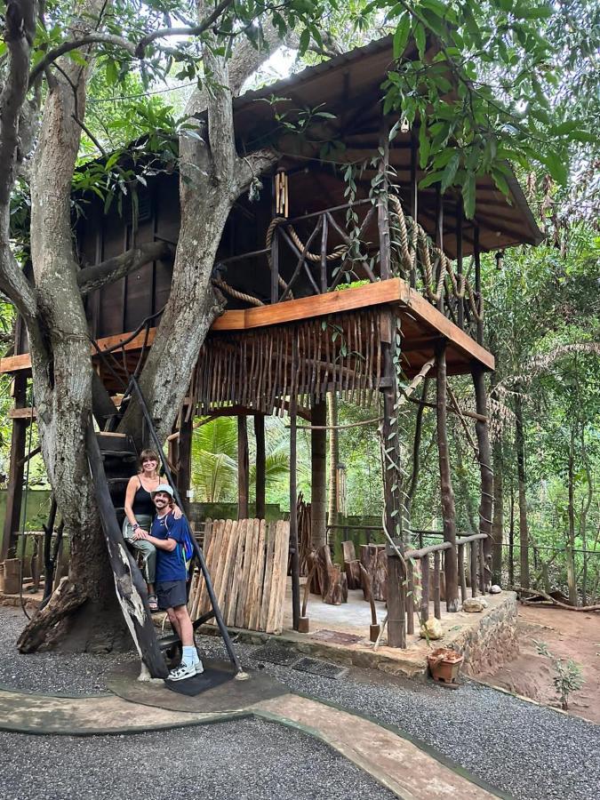 Green Park Safari House & Eco Tree House Удавалаве Екстериор снимка