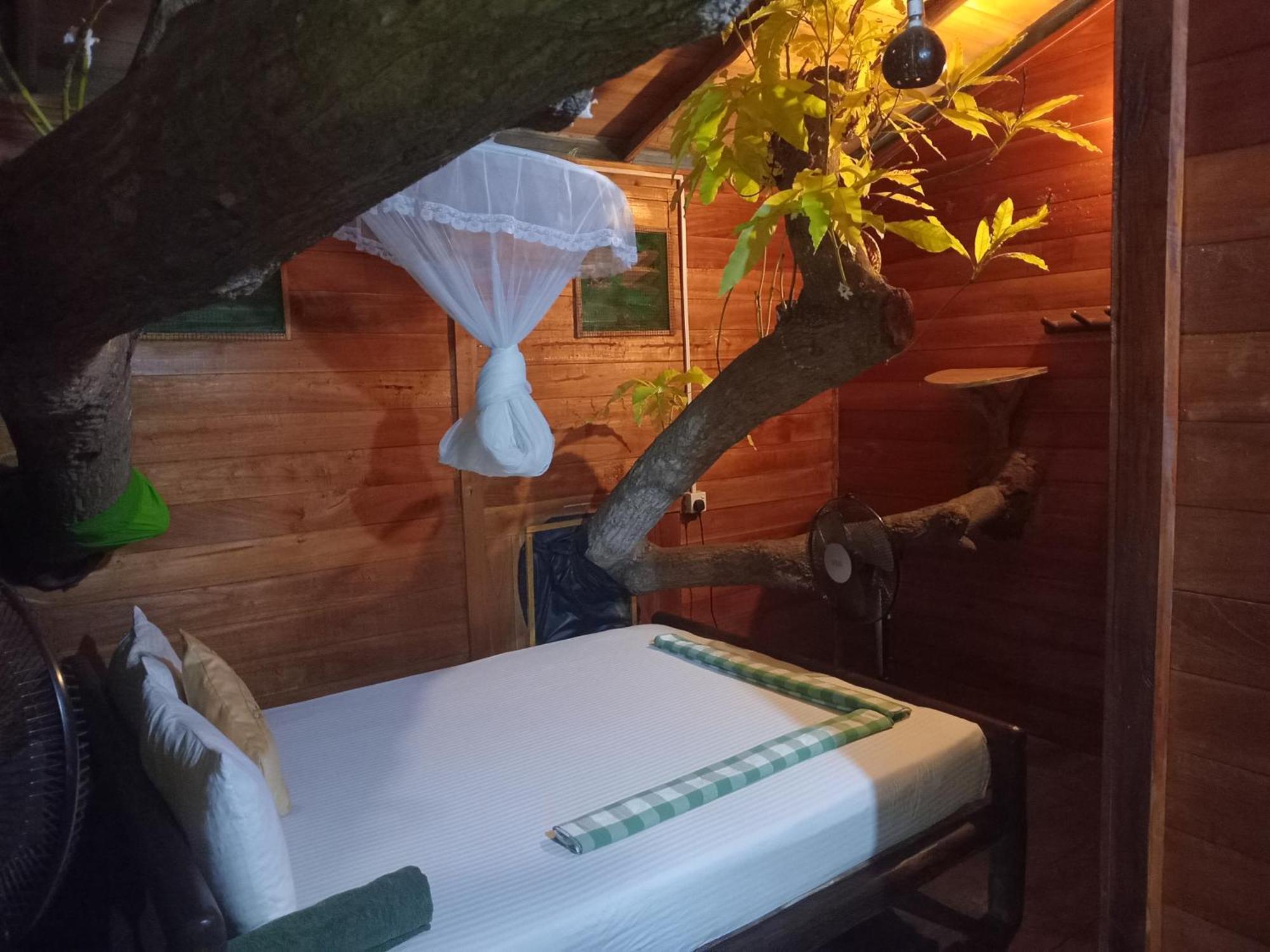 Green Park Safari House & Eco Tree House Удавалаве Екстериор снимка