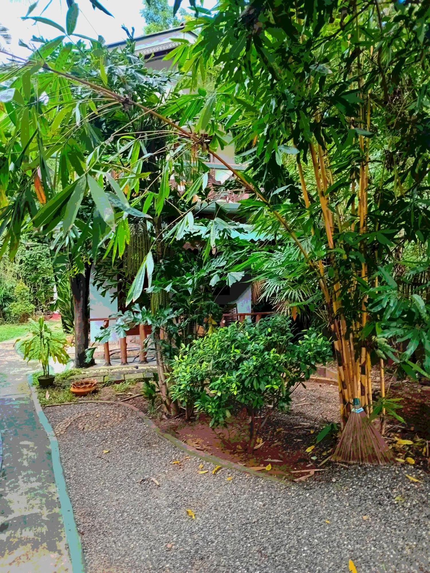 Green Park Safari House & Eco Tree House Удавалаве Екстериор снимка