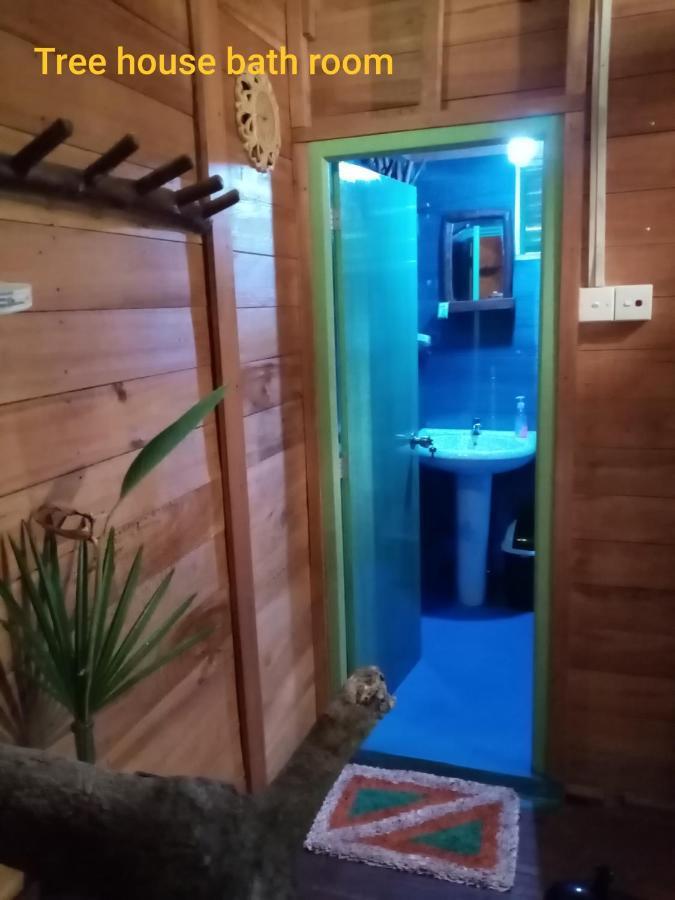 Green Park Safari House & Eco Tree House Удавалаве Екстериор снимка